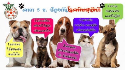 เตือนภัยโรคพิษสุนัขบ้า ปี 2564